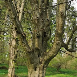 Domžale Library - Domzale