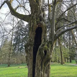 Domžale Library - Domzale