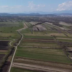 Ljubljana Marshes Nature Park - Domzale