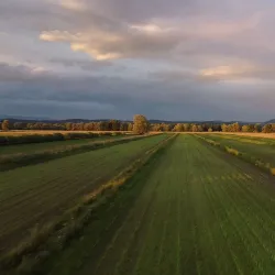 Ljubljana Marshes Nature Park - Domzale