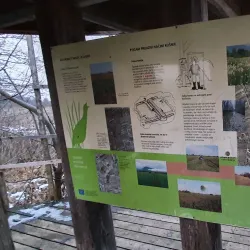 Ljubljana Marshes Nature Park - Domzale