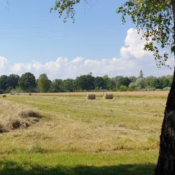Ljubljana Marshes Nature Park - Domzale