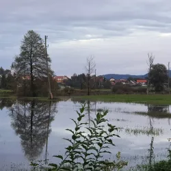 Ljubljana Marshes Nature Park - Domzale