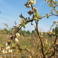 Ljubljana Marshes Nature Park - Domzale