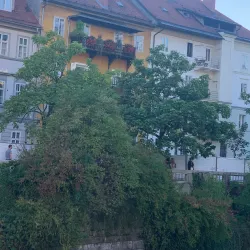 Ljubljana Marshes Nature Park - Domzale