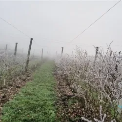 Ljubljana Marshes Nature Park - Domzale