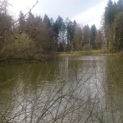 Radomlje Park - Domzale