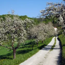 Kozjansko Regional Park - Šentjur