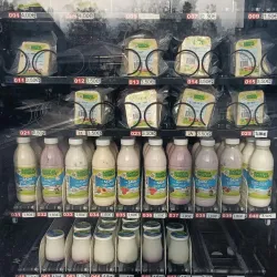 Local Farmers' Markets - Šentjur