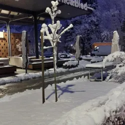 Local Farmers' Markets - Šentjur