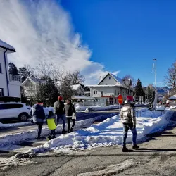 Local Farmers' Markets - Šentjur
