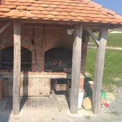 Local Vineyards and Wine Tasting - Šentjur