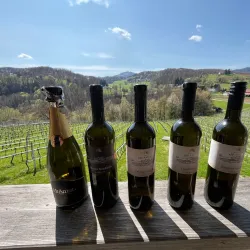 Local Vineyards and Wine Tasting - Šentjur