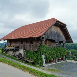 Local Vineyards and Wine Tasting - Šentjur