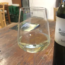 Local Vineyards and Wine Tasting - Šentjur