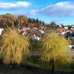 Old Town Center of Šentjur - Šentjur