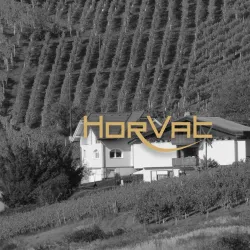 Local Vineyards - Horjul