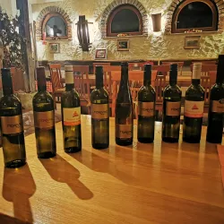 Local Vineyards - Horjul