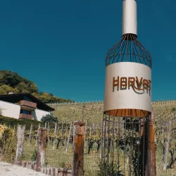 Local Vineyards - Horjul