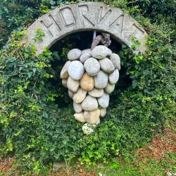 Local Vineyards - Horjul