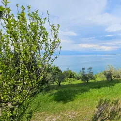 Belvedere Hill - Izola