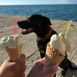 Punta Village - Izola