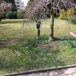 Jesenice City Park (Mestni park Jesenice) - Jesenice