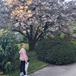 Jesenice City Park (Mestni park Jesenice) - Jesenice