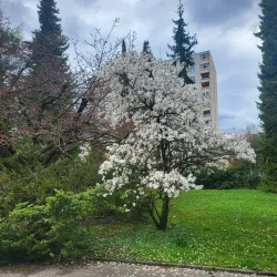 Jesenice City Park (Mestni park Jesenice) - Jesenice