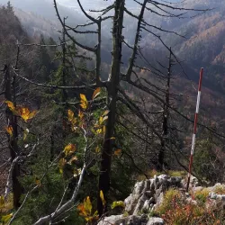 Koroška Bela - Jesenice