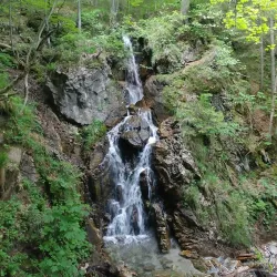 Planina pod Golico - Jesenice