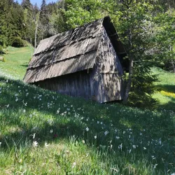 Planina pod Golico - Jesenice
