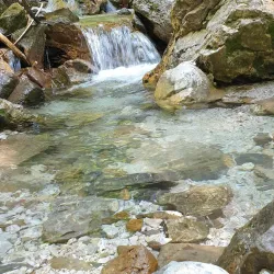 Planina pod Golico - Jesenice