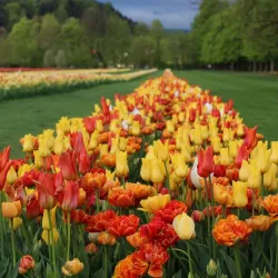 Arboretum Volčji Potok - Kamnik