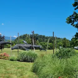Arboretum Volčji Potok - Kamnik