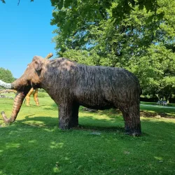 Arboretum Volčji Potok - Kamnik