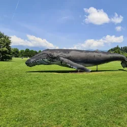 Arboretum Volčji Potok - Kamnik