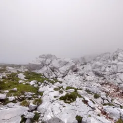 Kamnik-Savinja Alps - Kamnik