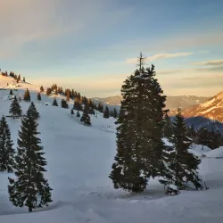 Mala Planina - Kamnik