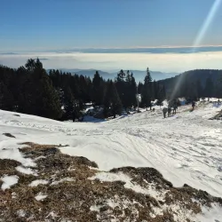 Mala Planina - Kamnik