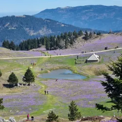Mala Planina - Kamnik