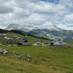 Velika Planina - Kamnik