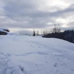 Kočevje Castle - Kocevje