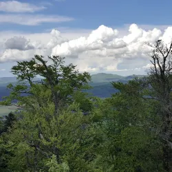 Kočevje Castle - Kocevje