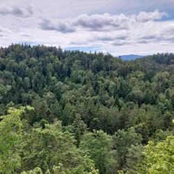 Kočevje Castle - Kocevje