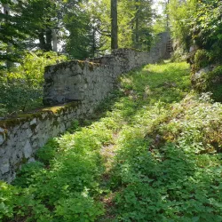 Kočevje Castle - Kocevje