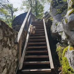 Kočevje Castle - Kocevje