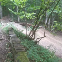 Kočevje Regional Park - Kocevje