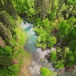Kočevje Town Square - Kocevje