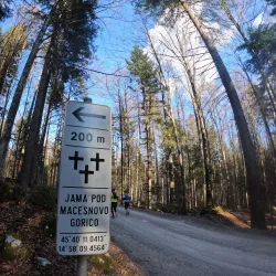 Kočevski Rog Forest - Kocevje